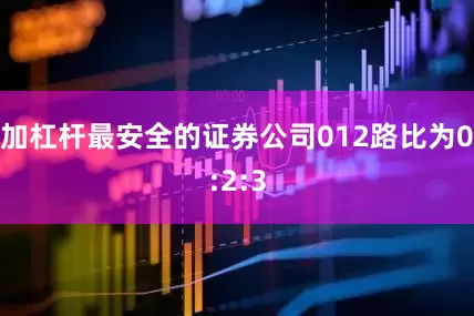 加杠杆最安全的证券公司012路比为0:2:3