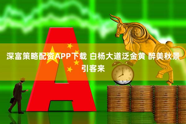 深富策略配资APP下载 白杨大道泛金黄 醉美秋景引客来