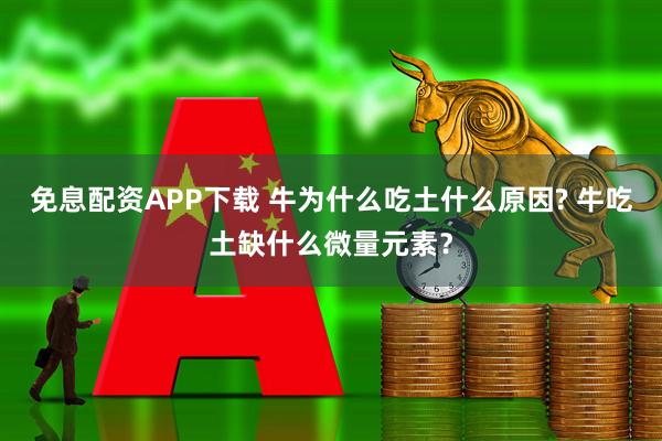 免息配资APP下载 牛为什么吃土什么原因? 牛吃土缺什么微量元素?