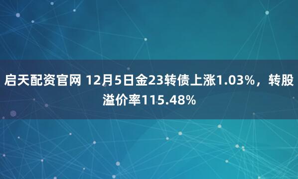 启天配资官网 12月5日金23转债上涨1.03%,转股溢价率115.48%