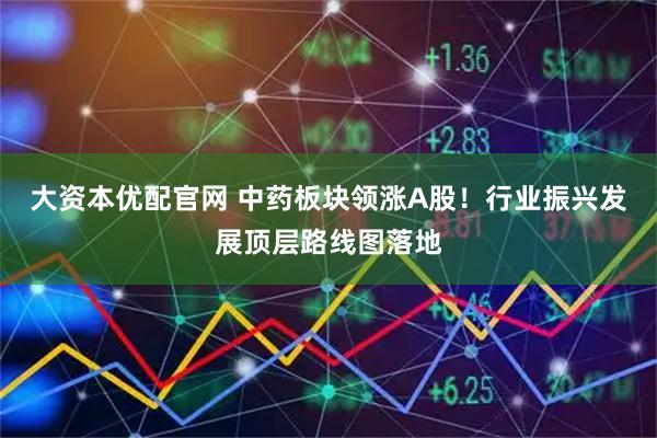 大资本优配官网 中药板块领涨A股!行业振兴发展顶层路线图落地