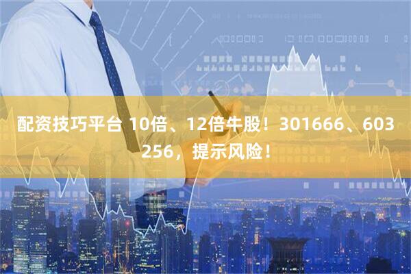 配资技巧平台 10倍、12倍牛股！301666、603256，提示风险！