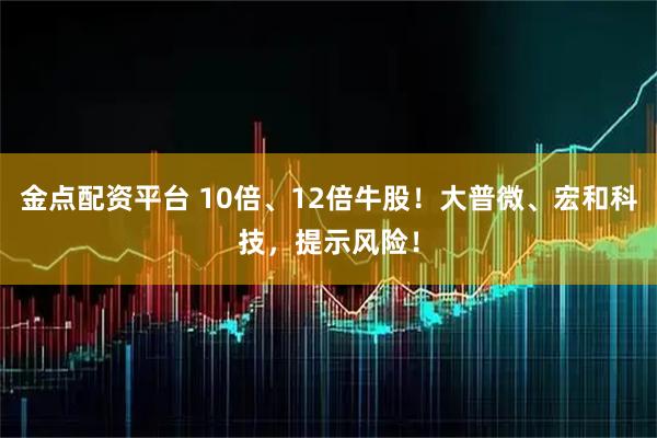 金点配资平台 10倍、12倍牛股！大普微、宏和科技，提示风险！